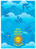 FUNNY SUNSHINE RAIN CLOUDS BIRDS KITCHEN DISH TOWEL UPTOWN SOX