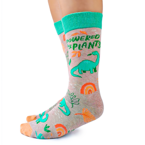 Cute dinosaur vegetarian vegan plants socks for women